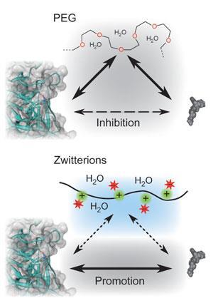 zwitterion-nchem_300