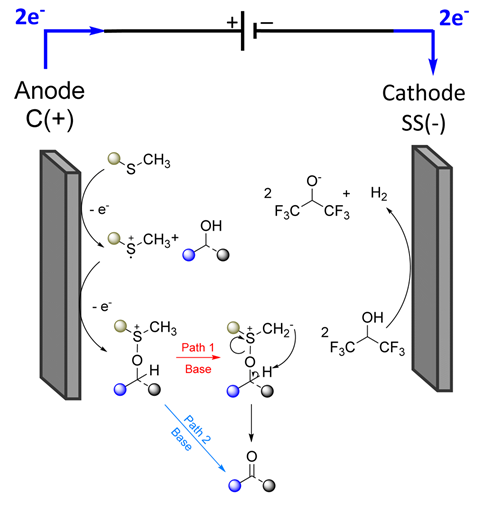 An electrochemistry diagram. At the anode c plus, CH3SR is oxidised twice in the presence of an alcohol. At the cathode SS minus, C2(CF3)OH is reduced to produce its ion and hydrogen.