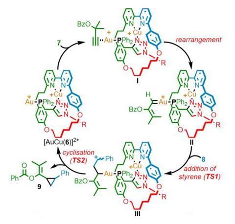 A scheme showing the reaction pathway presumed for the reaction of [Au(6)(Cl)] based on molecular modelling 