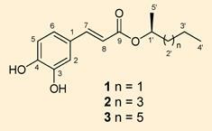 pepper-235