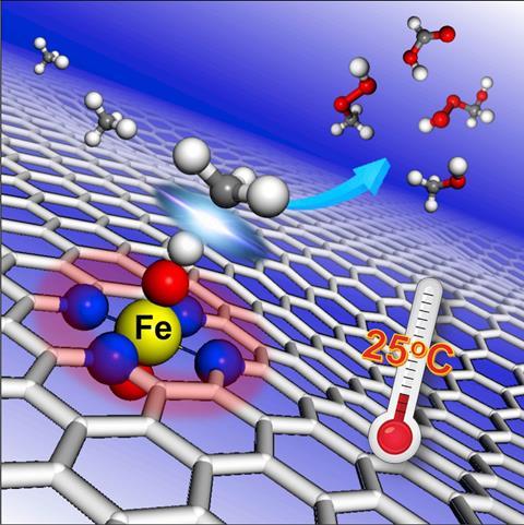 Graphene confined single Fe atoms  screened out from a series of 3d transition.