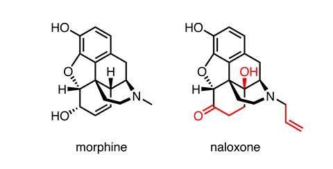 A picture showing the structures of morphine and naloxone