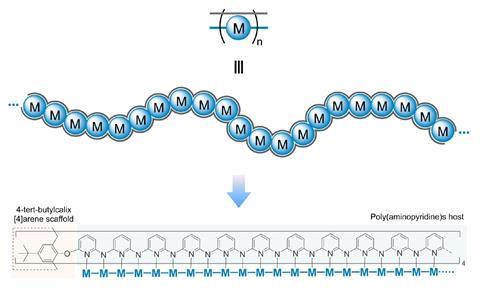 Architecture and the designed molecular structure of MBP