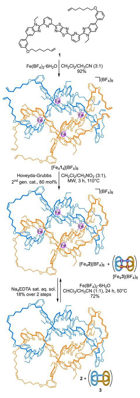 Metal-directed synthesis of 6!! link 2 and granny knot 3 from ligand 1