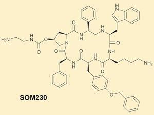 NEWS-p9-SOM230-300