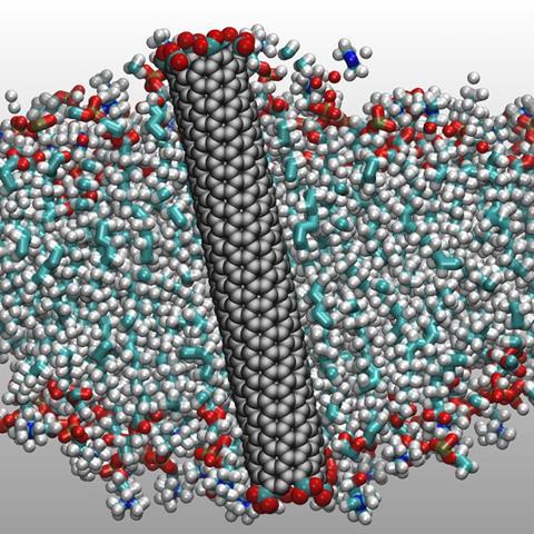 computer representation of the small diameter carbon nanotube porin 
