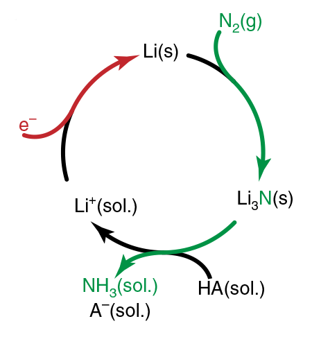 An image showing a lithium-mediated catalytic cycle for nitrogen reduction