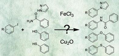 FEATURE-catalysis-390