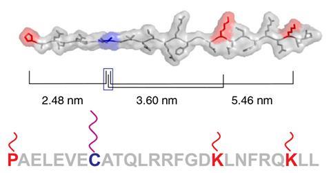 An image showing single-molecule peptide fingerprinting