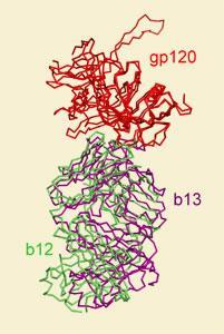 HIV-target-200