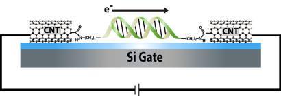 DNA-device_410