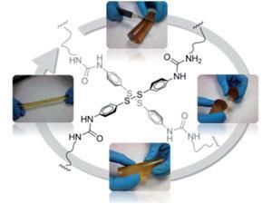 Polymer regenerates all by itself | Research | Chemistry World