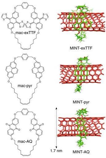 Carbon nanotube catalyst structures