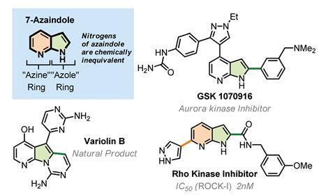 A scheme showing 7-Azaindole in natural and bioactive molecules and drugs with azine- and azole-ring functionalization