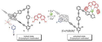 reversible-catalytic-switching-2_410