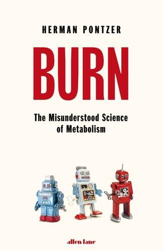 An image showing the book cover of Burn