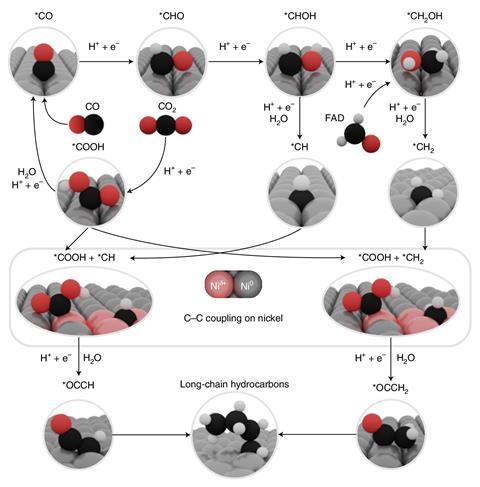 PDF) Synthesis and Structural Studies of Nickel Complex Supported