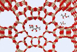 zeolite-lactate-300