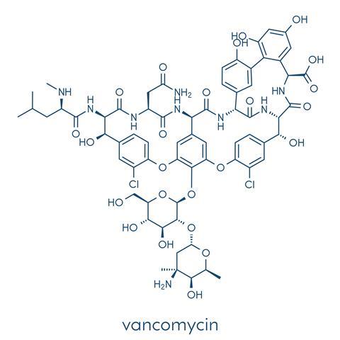 Vancomycin skeletal molecule 