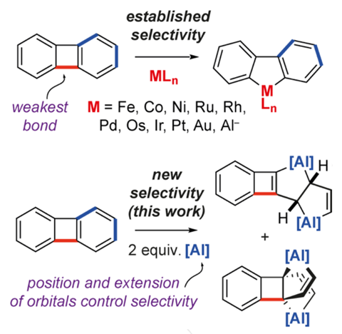 An image showing chemoselectivity in the C–C s-bond activation of biphenylene