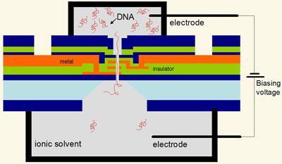 Schematics-of-the-DNA-transitor-400