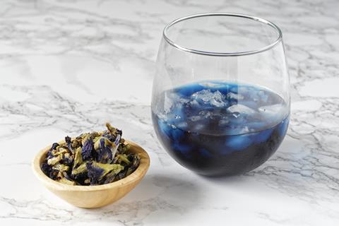 Butterfy pea flowers and a blue coloured infusion