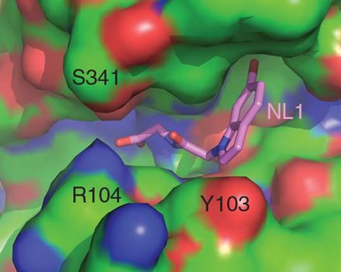 An image showing a model of an enzymatic binding pocket, shown as blobs of blue, red and green, with a stick-like molecular model slotted into the centre of it.