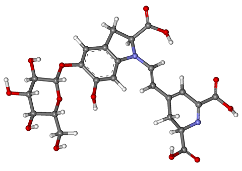 Structure of betanin molecule