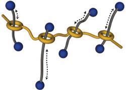 Polyrotaxanes_250