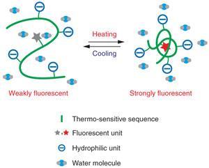 uchiyama-ncomms-fig1b_300