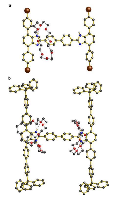 A diagram showing a Ring within a ring rotaxane 