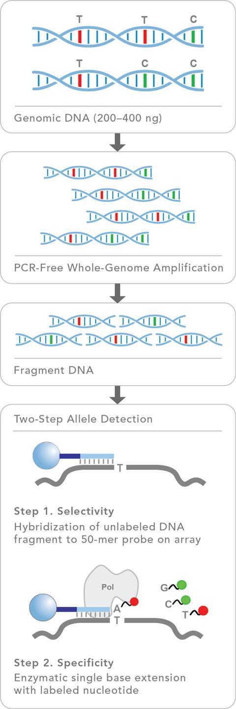 A diagram of the steps of DNA sequencing