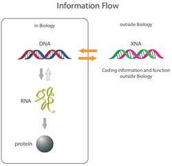 informationflow_250