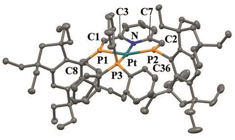 Square planar Pt(0) complex