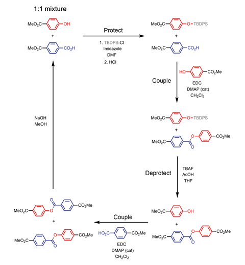 A scheme showing the formation of an ester between a phenol and benzoic acid giving a covalent base-pair