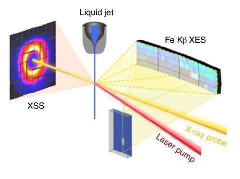 An image showing a schematic of the experimental set-up