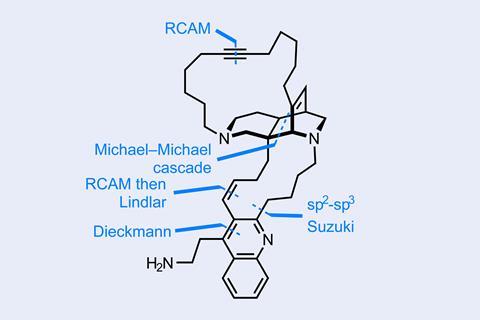 An image showing (+)-njaoamine 