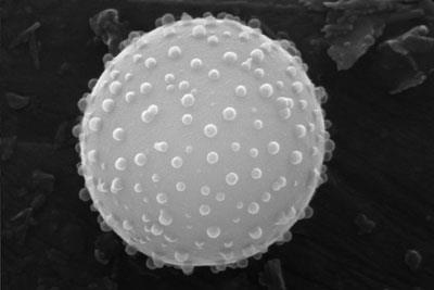 nanoparticle_400