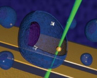 nanodiamonds (grey diamonds) and a gold nanoparticle (yellow sphere) within a living cell