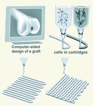 organ-printing-hydrogels-300