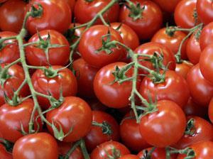 organic-tomatoes-300