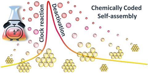 Chemically coded time-programmed self-assembly