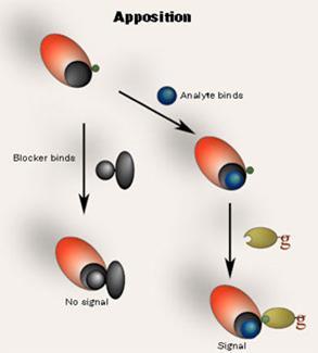 Apposition System