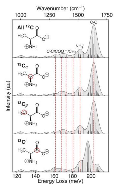 A picture showing the influence of isotopic enrichment at specific carbon sites