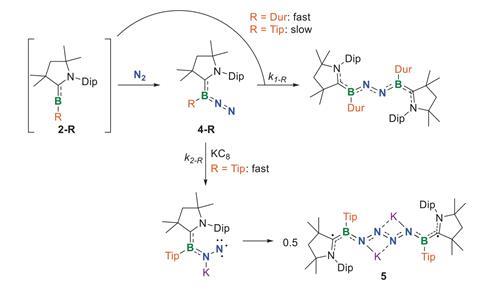 A scheme showing the proposed mechanism for the fixation of N2 by 2-Dur and the catenation of N2 by 2-Tip