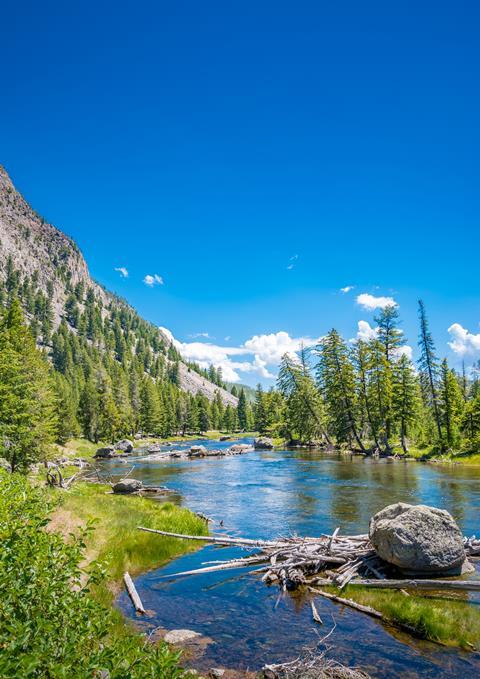 Yellowstone National Park - madison River viewpoint, west gate , wyoming, USA