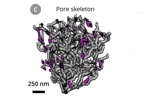  3D rendering of the skeletonized pore structure. Dead-end pores are marked in magenta.