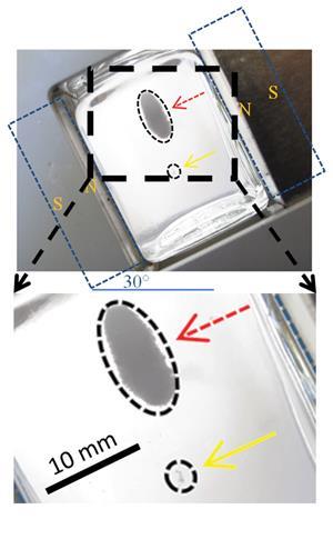 Separation of a mixture of S-ibuprofen and RS-ibuprofen using MagLev