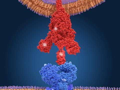 An image showing the B.1.1.7 coronavirus variant