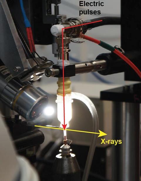 EF-X experimental set-up used to determine protein function - Main